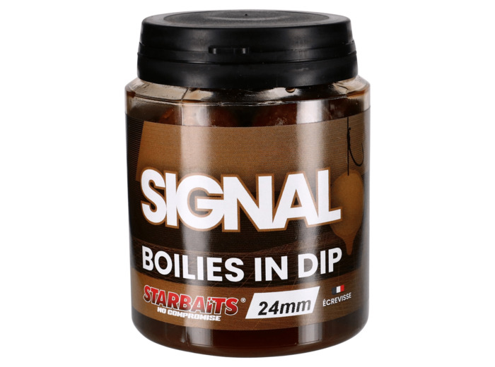 dip boilie signal starbaits