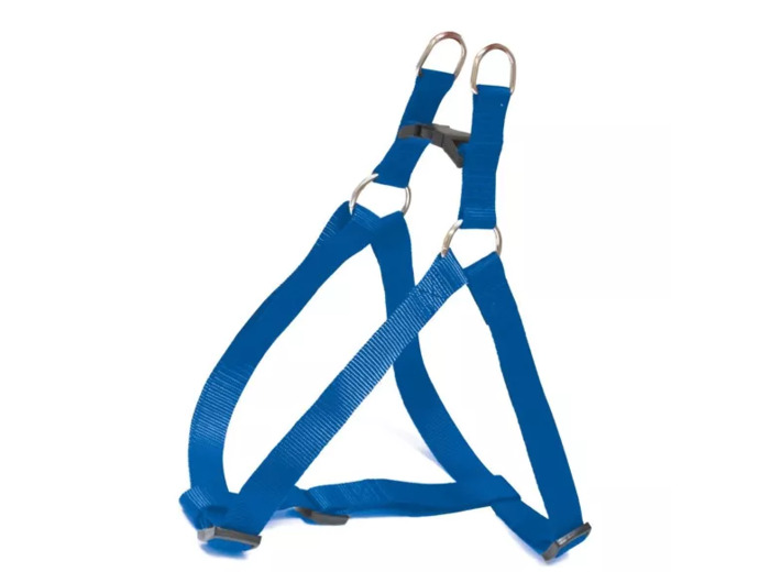 Harnais baudrier pour chien - Bleu