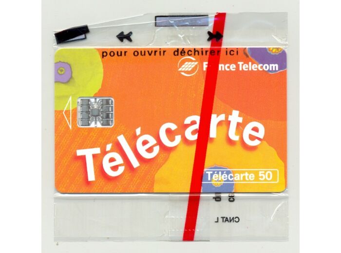 TELECARTE NSB 50 UNITE 05/96 TELECARTE T2G F656B