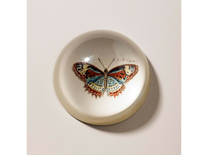 Presse papier papillon verre multicolores 4x8cm