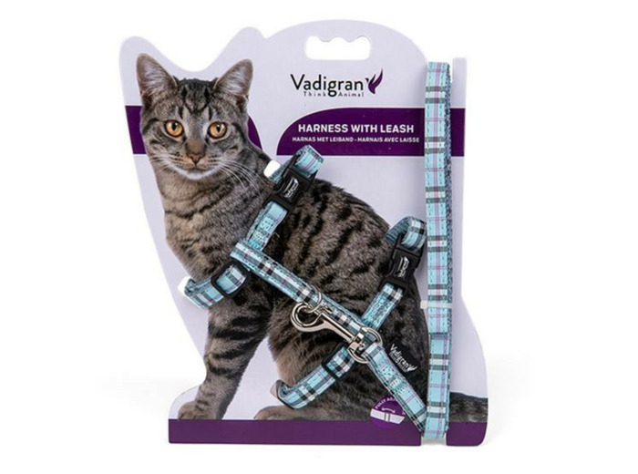 Harnais + Laisse "Ecossais" (bleu) - 35cmx10mm / 120cm