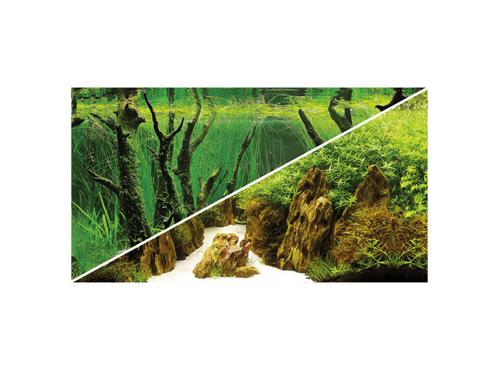 Poster CANYON / WOODLAND - 120 x 50 cm