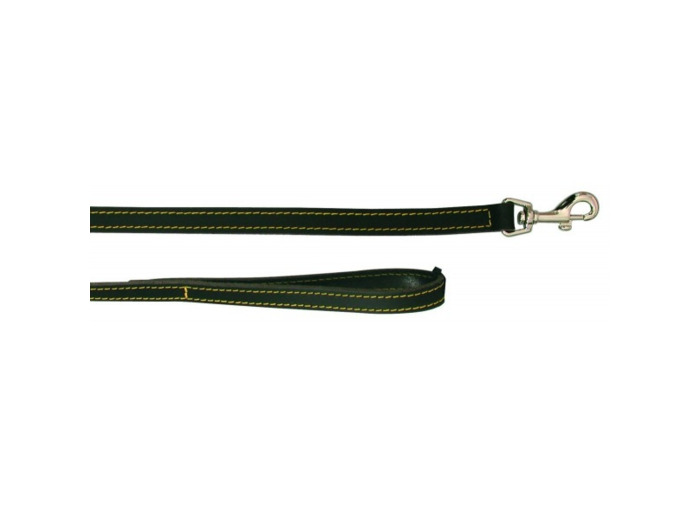 Laisse en cuir noir pour chien