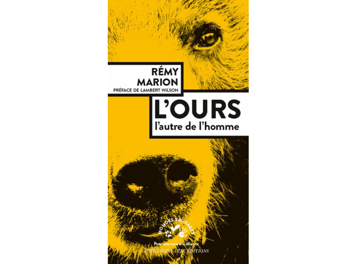 L'OURS - L'AUTRE DE L'HOMME - ILLUSTRATIONS, NOIR ET BLANC