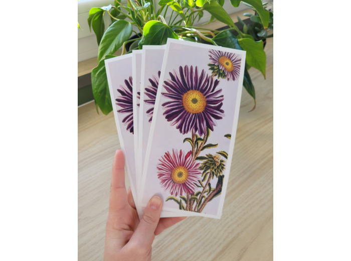 Carte fleur de naissance - Avril