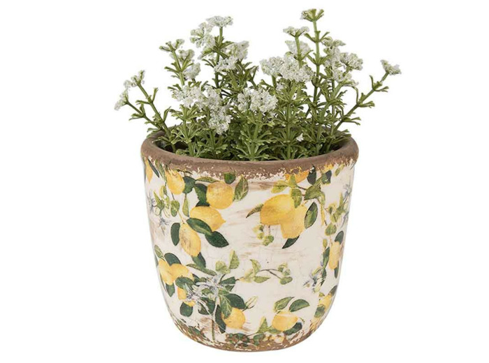 Pot de fleurs citron 11x10cm