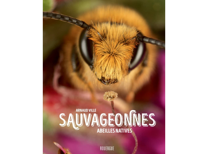 SAUVAGEONNES - ABEILLES NATIVES