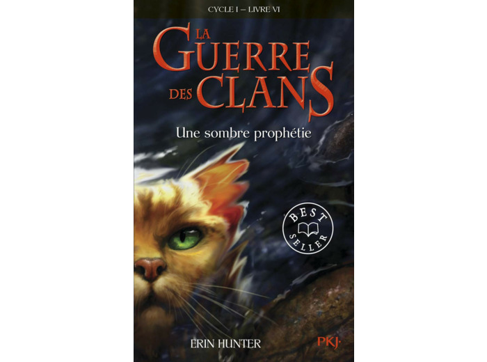 LA GUERRE DES CLANS - CYCLE I - TOME 6 UNE SOMBRE PROPHETIE -POCHE-