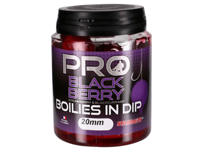 dip boilie black berry starbait