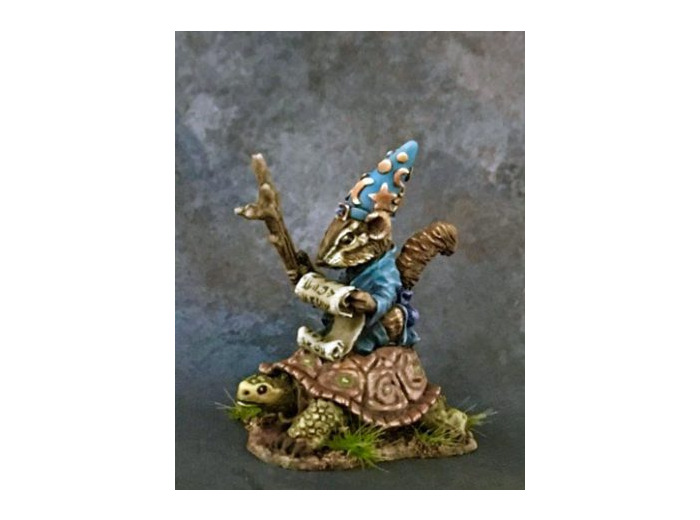 Fantasy : Chipmunk Mage on Turtle Mount