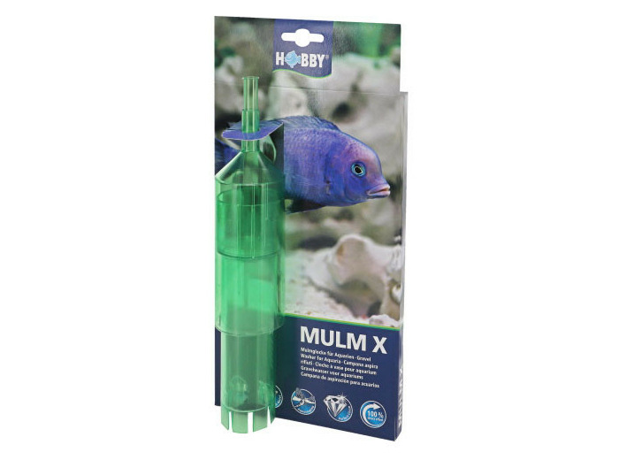 Cloche à vase, MULM X