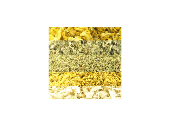 Tisane Aphone Cordes Vocales 100gr