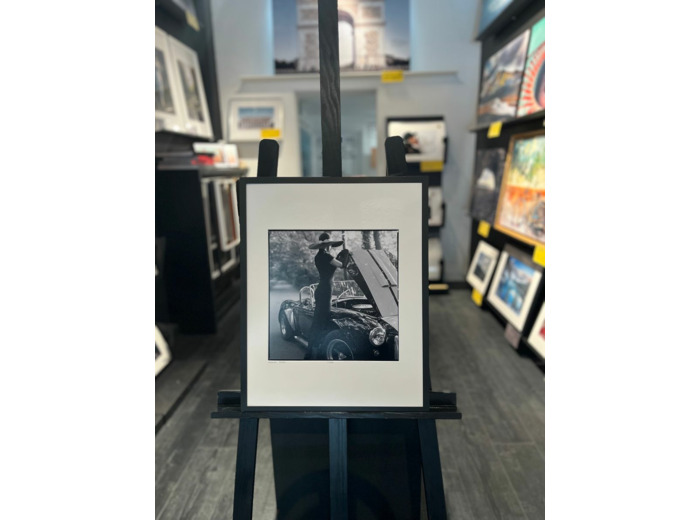 Cobra - Radoslaw Pujan