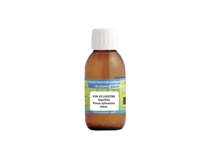 Extrait hydro alcoolique Pin sylvestre aiguilles 60ml