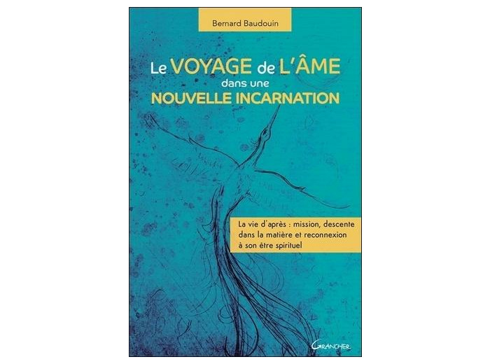 Le voyage de l'âme dans une nouvelle incarnation - La vie d'après : mission, descente dans la matière et reconnexion à son être spirituel