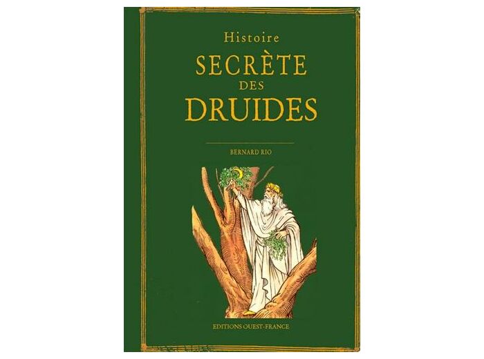 Histoire secrète des druides -