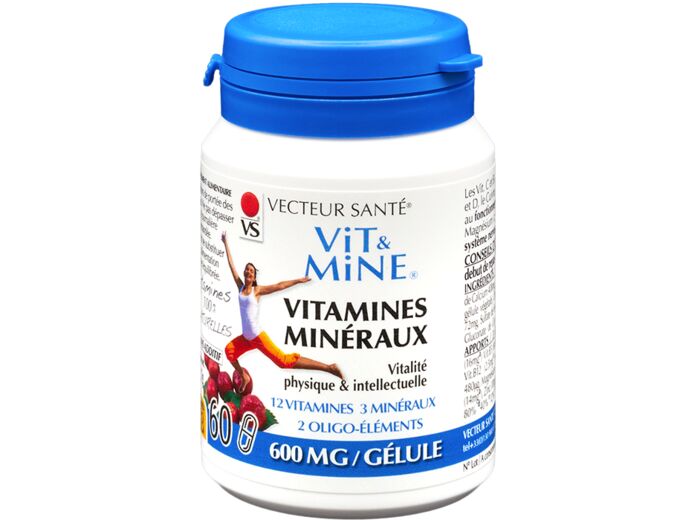 Vit&Mine vitamines minéraux-60 gélules-Vecteur santé