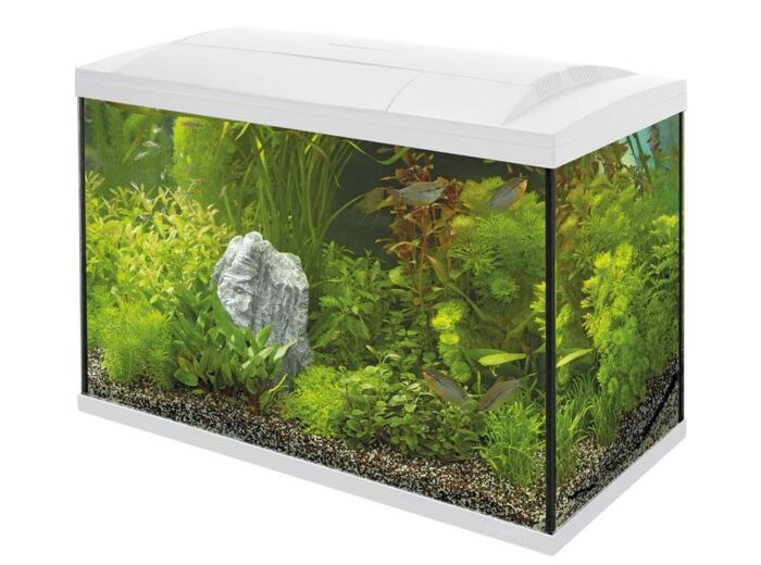 Aquarium Superfish 100 - 68.7 x 34 x 46.5 cm