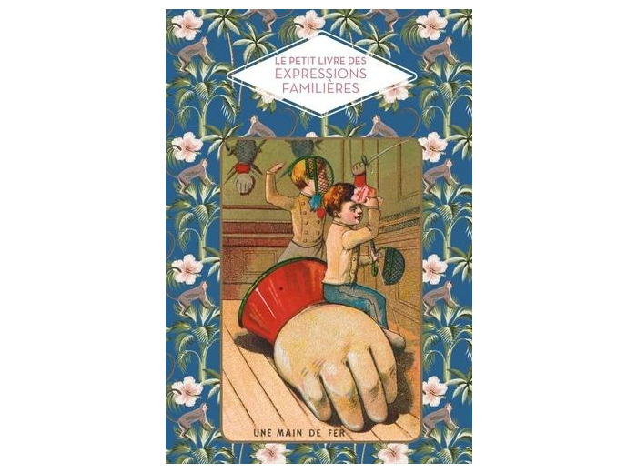 Le petit livre des expressions familières