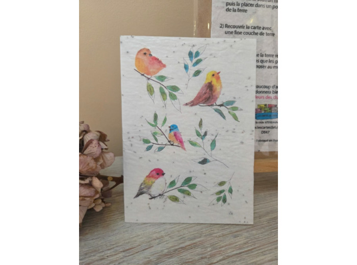 Carte à planter" Oiseaux"- Toutes occasions - Fleurs des champs