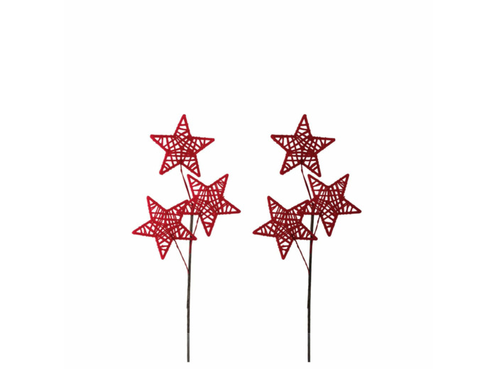 BRANCHE D'ETOILES ROUGE