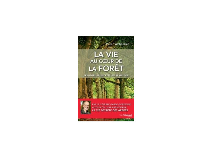 La vie au cœur de la forêt