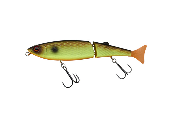 freddy 130 cw noisy muddy roach