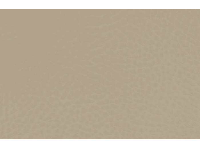 Simili cuir Karia Mastic Col 006 laize 140cm 40000 tours martindale