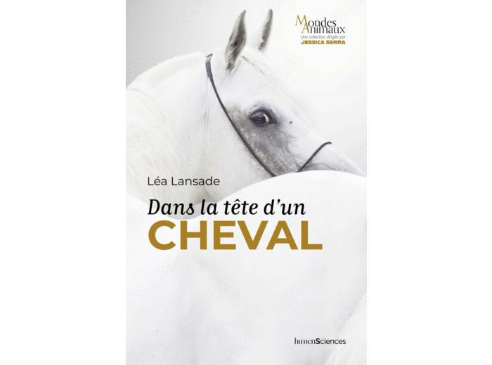 DANS LA TETE D'UN CHEVAL