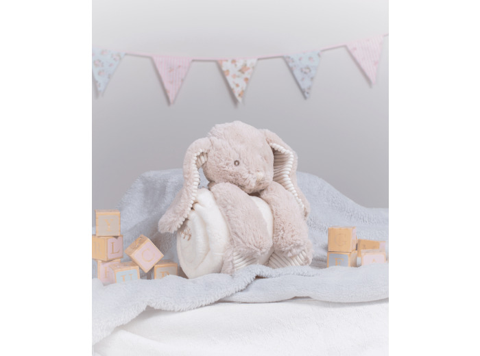 Peluche lapin avec plaid personnalisé