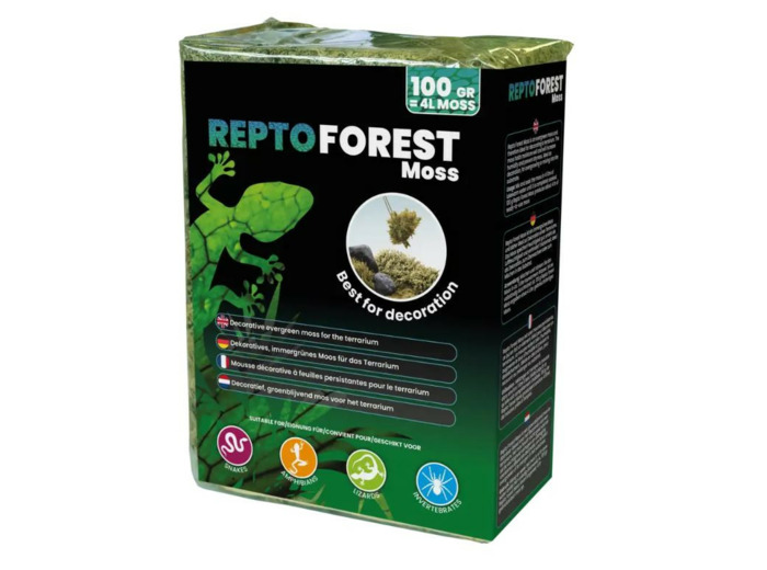 REPTO Mousse de Fôret - 100g