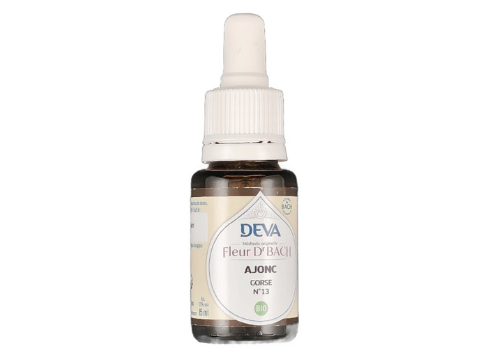 Ajonc n°13 15ml