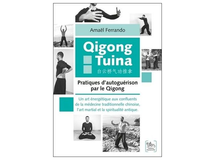 Qigong Tuina : Pratiques d'autoguérison par le Qigong - Un art énergétique aux confluents de la médecine traditionnelle chinoise, l'art martial et la spiritualité antique