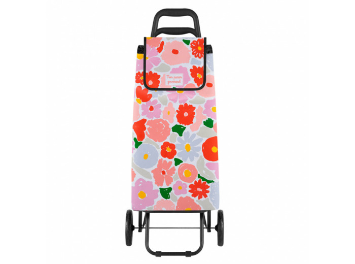 POUSSETTE 2 GRANDES ROUES  -  JARDIN ROMANTIQUE