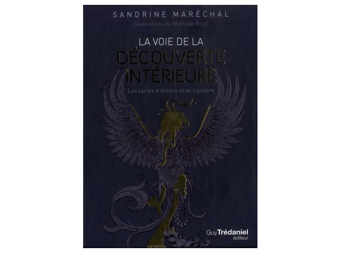 La voie de la découverte intérieure - Les cartes d'Ombre et de Lumière