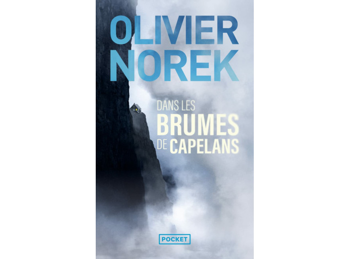 DANS LES BRUMES DE CAPELANS