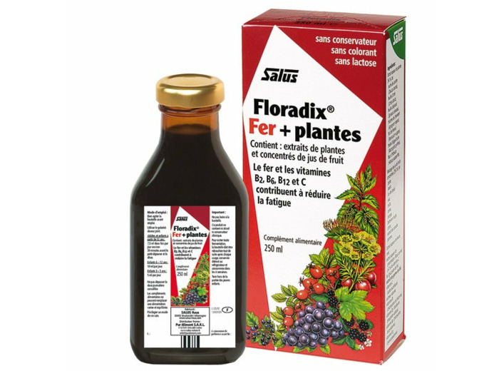 Floradix-Fer + Plantes-500 ml-Salus