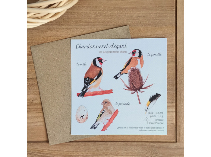 Carte Chardonnerets élégants