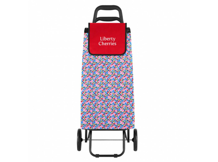 POUSSETTE 2 GRANDES ROUES  -  LIBERTY