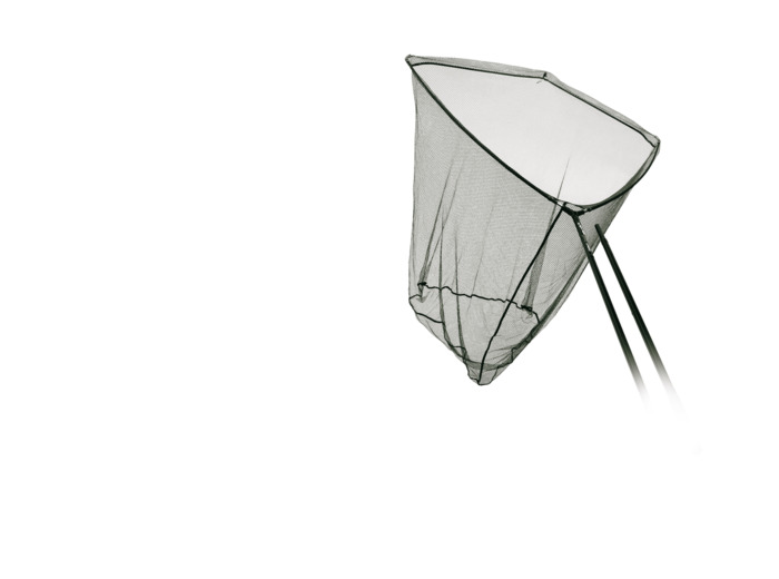 epuisete expert stalking starbai