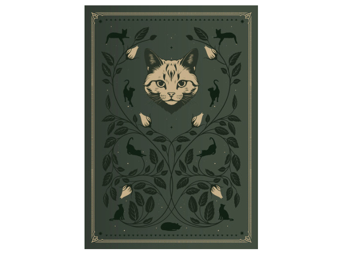 Grimoire vierge chat