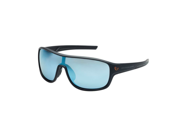 lunette polarized 1 blue revo