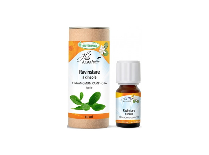 Ravintsara Feuille Sauvage à cinéole Bio 10ml