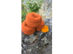 Pelote PLUME  (60% kid mohair 40% soie) - CUIVRE