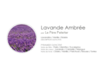 SAVON ARTISANAL LAVANDE AMBRÉE