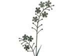 Tuteur déco fleur 29x4x105cm
