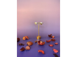 Adaline - boucles d'oreilles