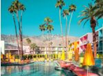 Palm Springs III - Ludwig Favre