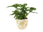 Pot de fleurs Citron jaune céramique 14x14x14xm