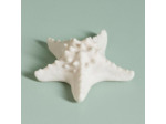 Lampe Etoile de mer blanche résine 16x7x16cm